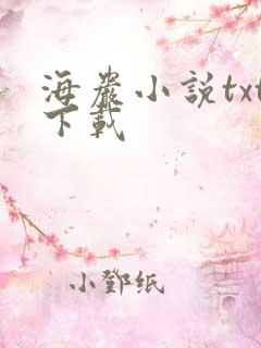海岩小说txt下载