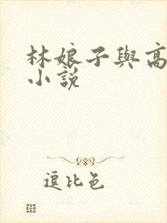 林娘子与高衙内小说