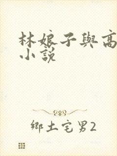 林娘子与高衙内小说