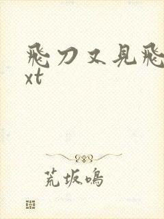 飞刀又见飞刀txt
