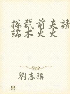 总裁前夫请自重端木火火