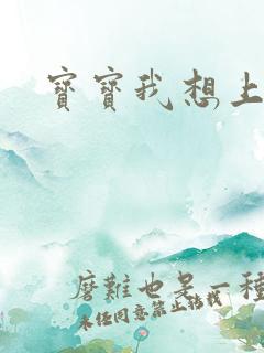 宝宝我想上你