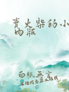 卖火柴的小男孩 肉版