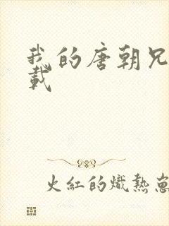 我的唐朝兄弟下载
