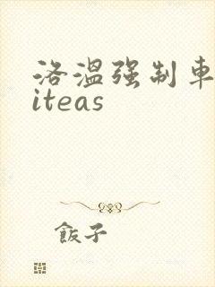 洛温强制车writeas