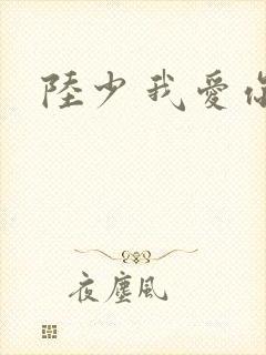 陆少 我爱你