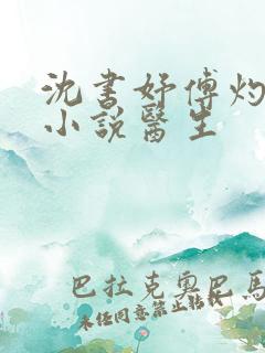 沈书妤傅灼抖音小说医生