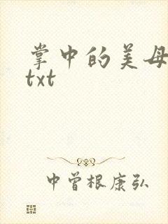 掌中的美母版主txt