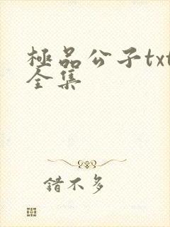 极品公子txt全集