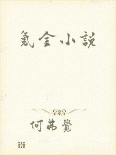 氪金小说