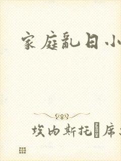 家庭乱日小说