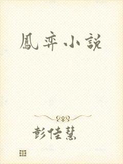 凤弈小说