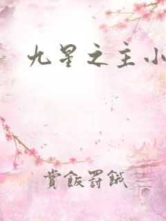 九星之主小说