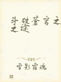 斗破苍穹之王者之途