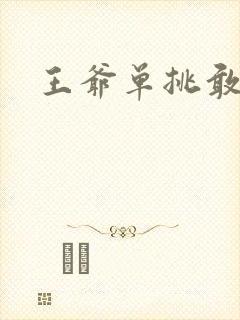 王爷单挑敢不敢