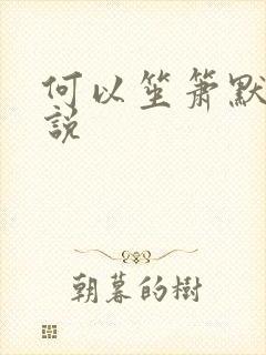 何以笙箫默 小说