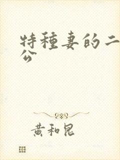 特种妻的二手老公