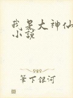 我是大神仙时江小说