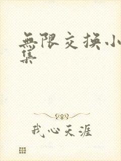 无限交换小说全集