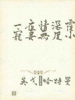 一夜情深霍先生宠妻无度小说免费阅读