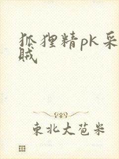 狐狸精pk采花贼