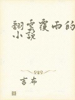 翻云覆雨的秘密小说