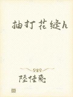 抽打花缝h