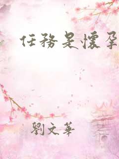 任务是怀孕系统