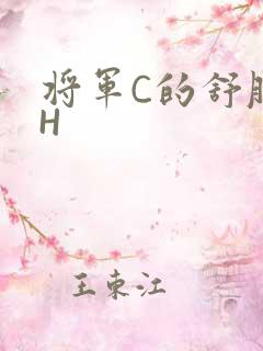 将军C的舒服么H