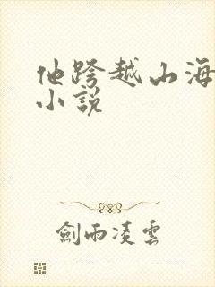 他跨越山海而来小说