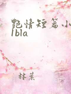 艳情短篇小说11bla