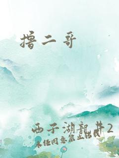 撸二哥