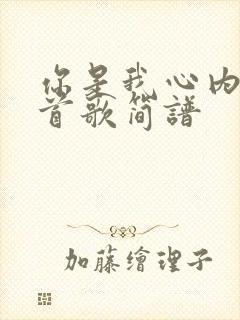 你是我心内的一首歌简谱