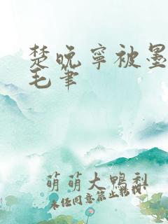 楚晚宁被墨燃塞毛笔