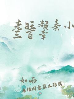 老旺超秦小雨第三百章