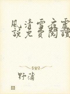 风清雪夜震风小说免费阅读