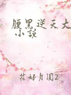 腹黑逆天大小姐 小说