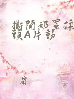 撕开奶罩揉吮奶头A片动