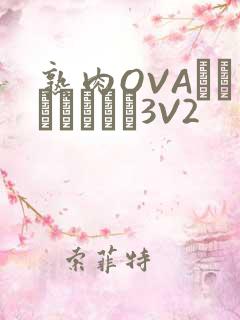 熟肉OVAちゃんはしたい3V2