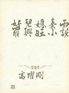 好儿媳秦雨罗明罗兴旺小说