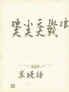 硬小天与浪小辉夫夫大战