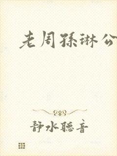 老周孙琳公交车