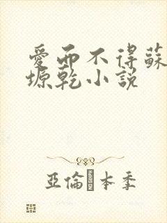 爱而不得苏路顾塬乾小说