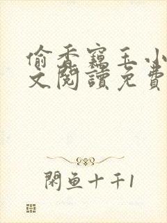 偷香窃玉小说全文阅读免费