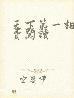 天下第一相书免费阅读
