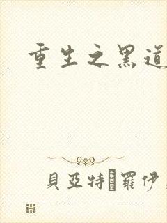 重生之黑道传奇