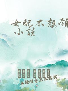 女配不想领便当 小说