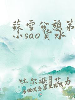 苏雪公憩第一章小sao货水