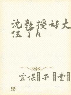 沈教授好大含不住了h