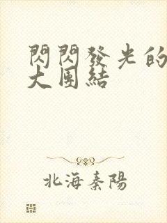 闪闪发光的小说大团结